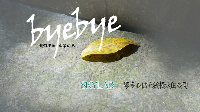 SKYLAB，一家做无线模块的公司